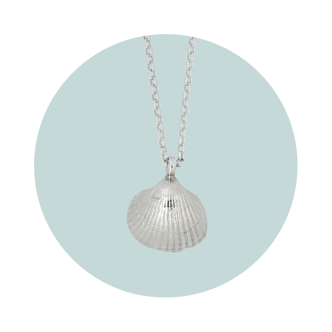 Silver Medium Cockle Shell Necklace
