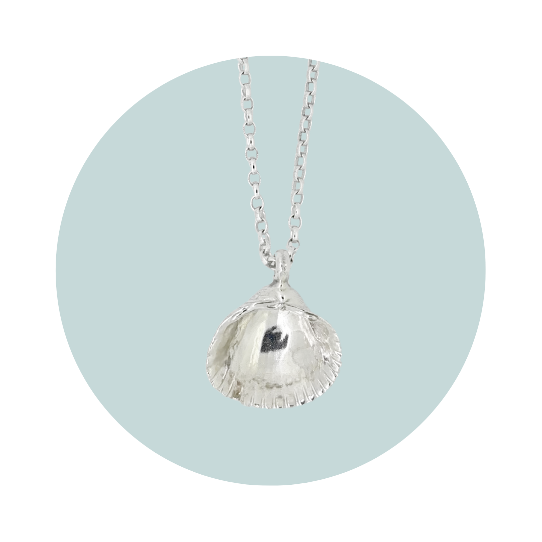 Silver Medium Cockle Shell Necklace