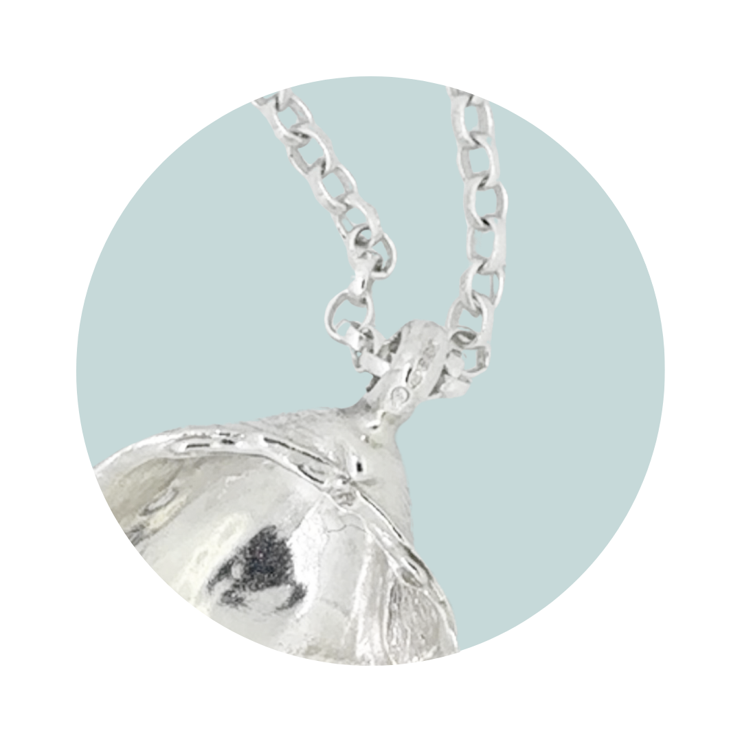 Silver Medium Cockle Shell Necklace