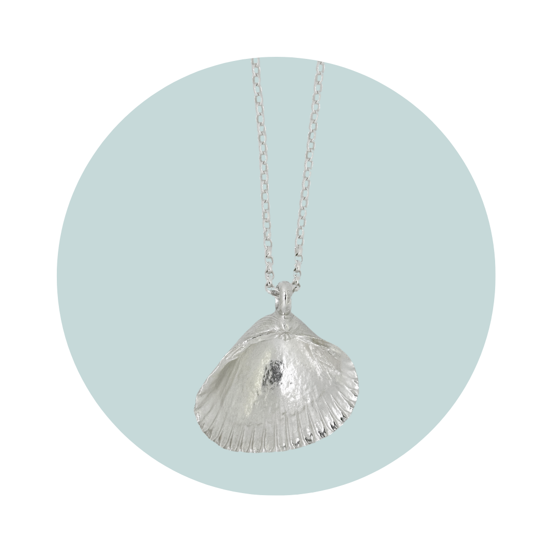 Silver Large Cockle Shell Necklace