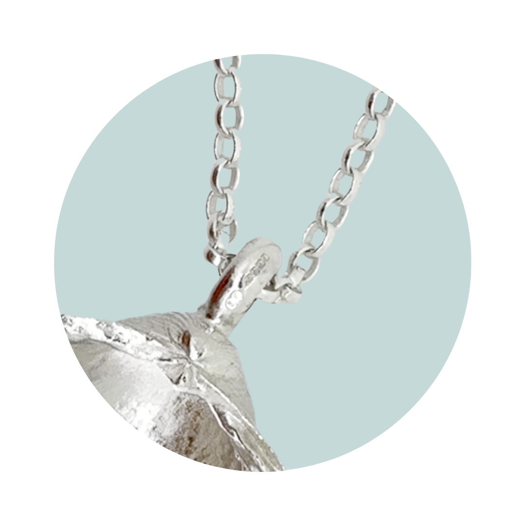 Silver Large Cockle Shell Necklace