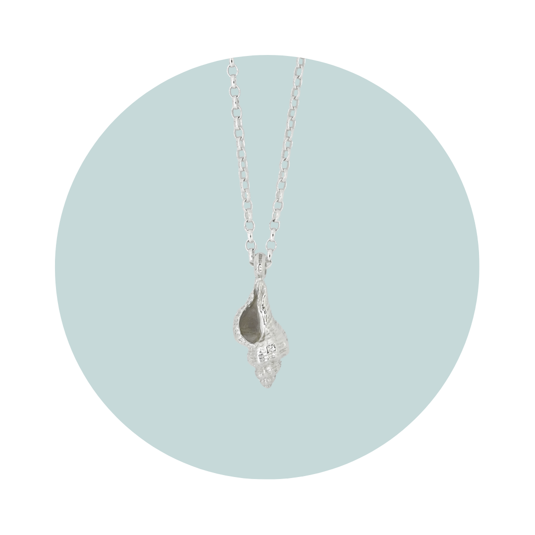 Silver Conch Shell Necklace