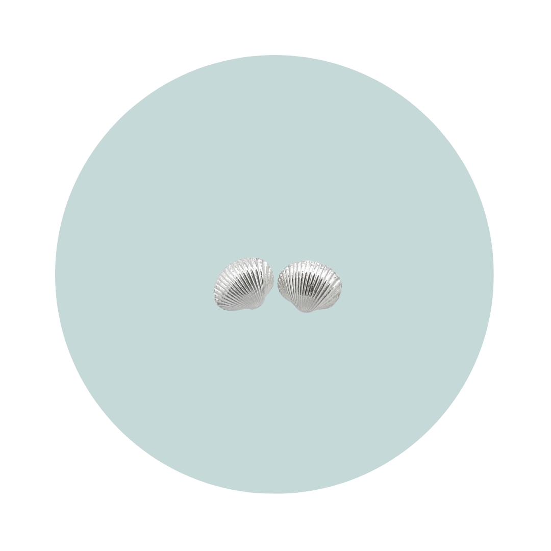Silver Cockle Shell Stud Earrings