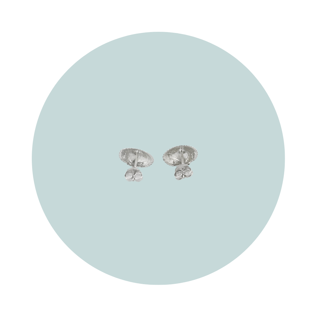 Silver Cockle Shell Stud Earrings