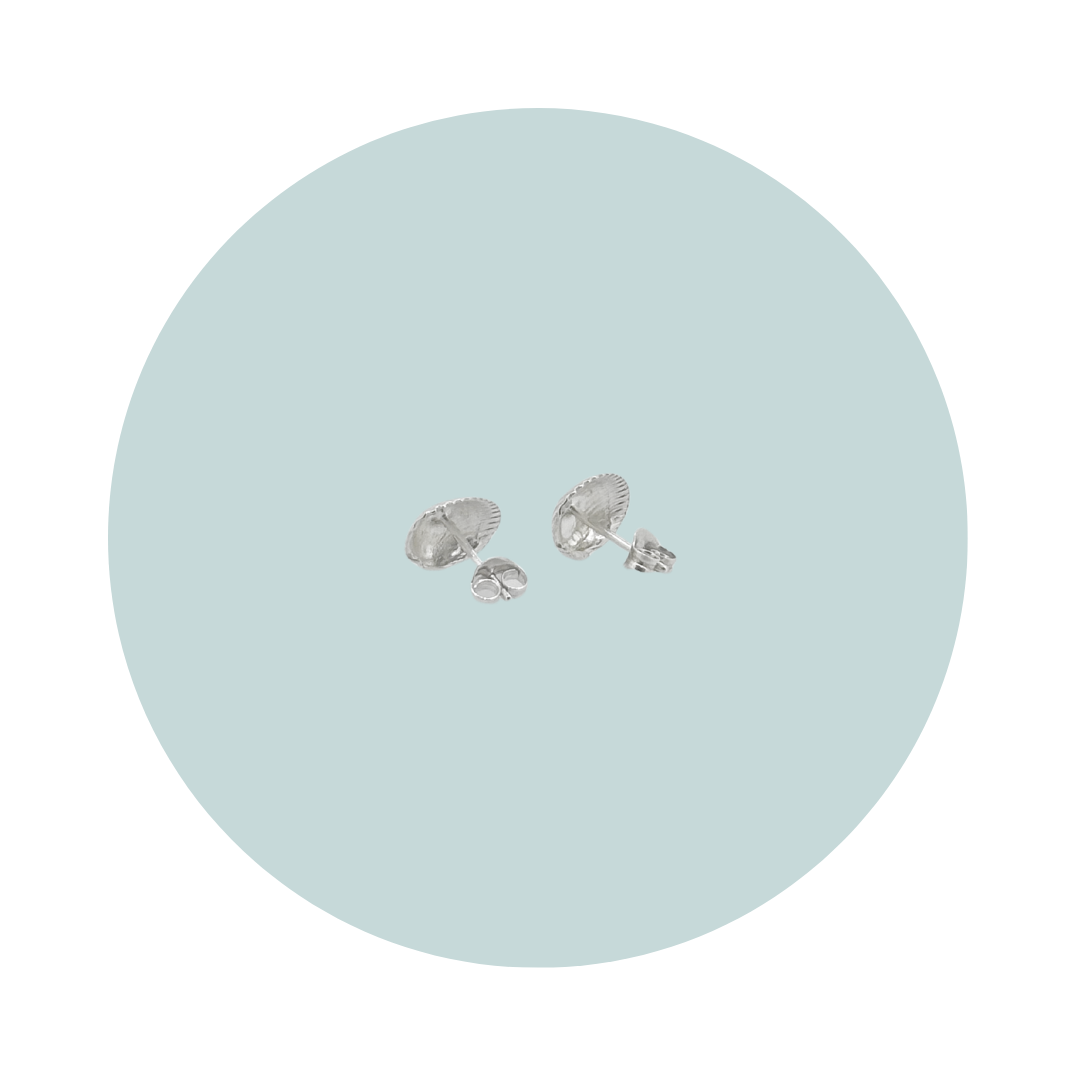 Silver Cockle Shell Stud Earrings