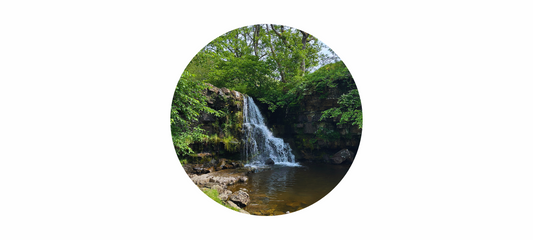 July Goals: A Month to Soften & Simplify