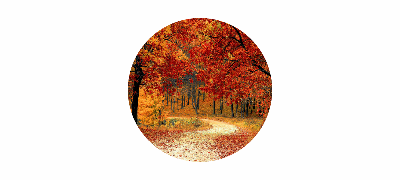 Autumn Equinox 2025: Balance, Transition & Seasonal Magic