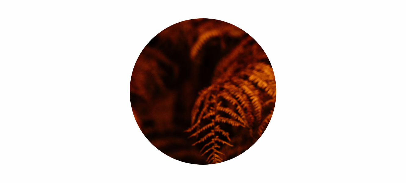 Thoughtful & Meaningful Gifts for Her (and for You Too)