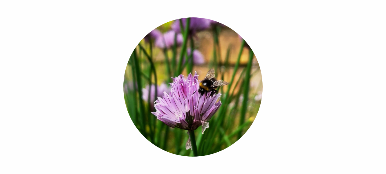 June Goals: Soft Power & Everyday Wins