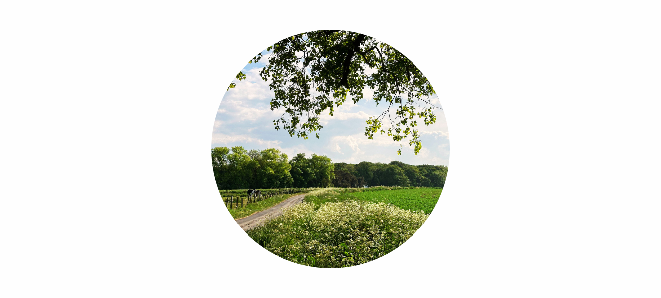 June Energy: Space to Soften, Room to Bloom