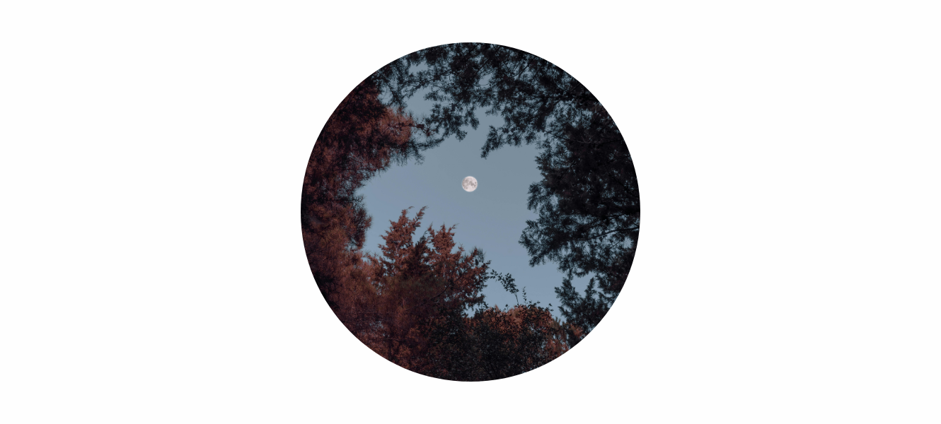 October Full Moon 2025: The Hunters Moon