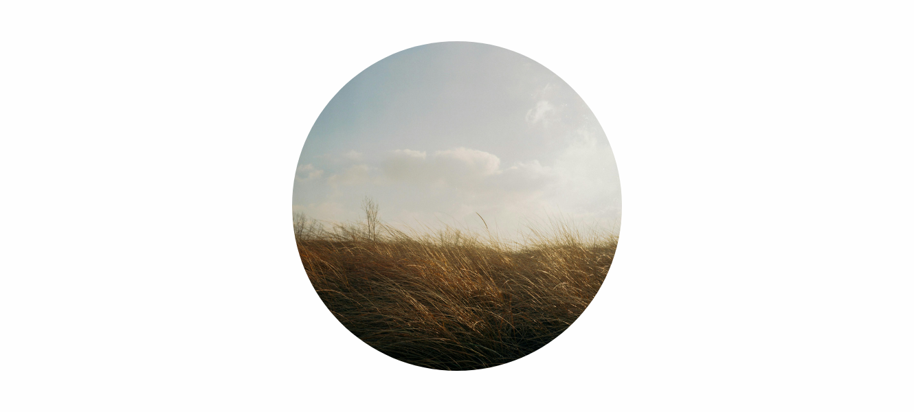 Air Element Meaning: Movement, Mind & Expansive Clarity