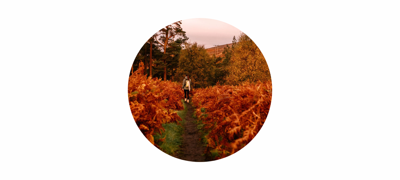 Autumn Equinox Meaning 2026: The Beauty of the Turning