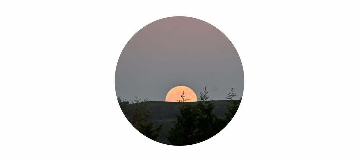 Beaver Moon Meaning 2026: November Full Moon Symbolism, Energy & Spiritual Themes