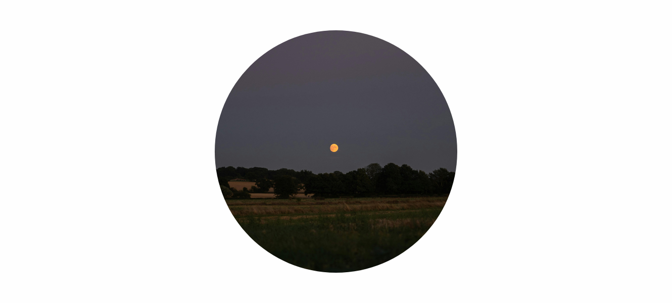 Corn Moon Meaning 2026: August Full Moon Symbolism, Energy & Spiritual Themes