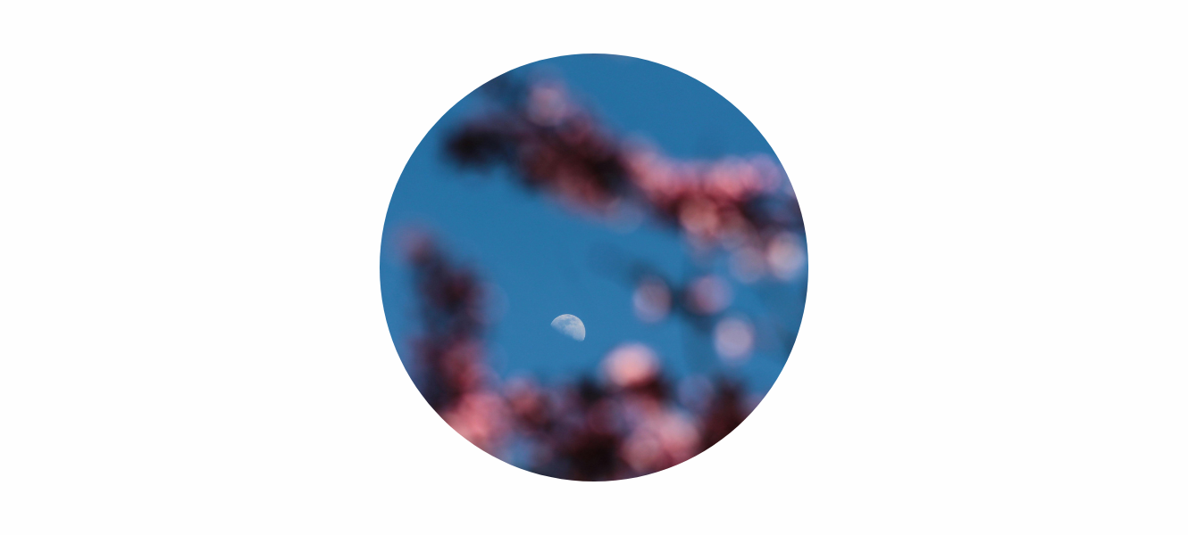 Flower Moon Meaning 2026: May Full Moon Symbolism, Energy & Spiritual Themes