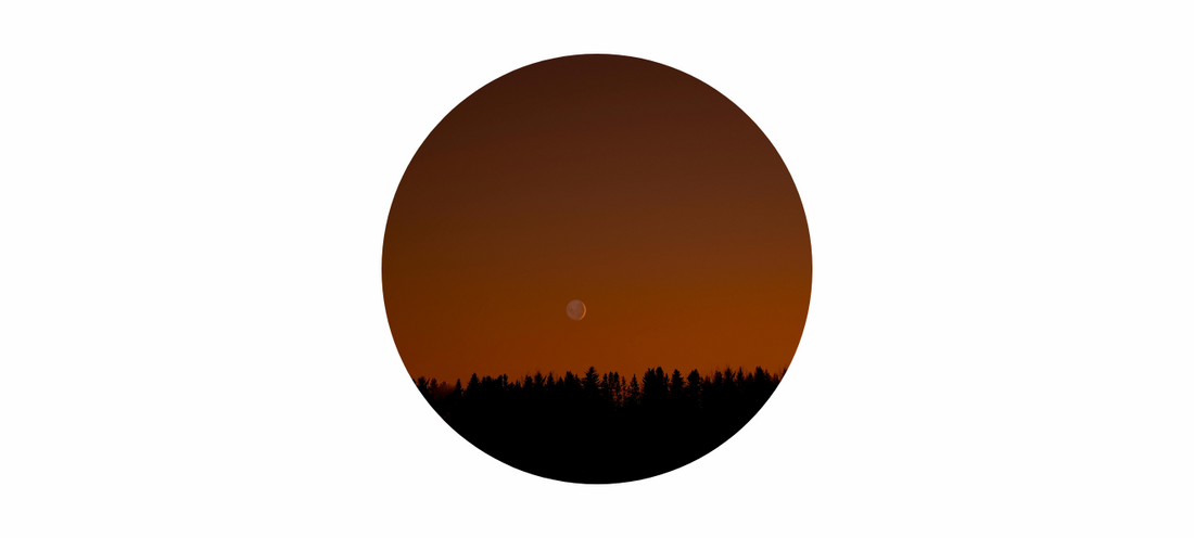 September 2025 Harvest Full Moon: Meaning, Symbolism & Reflection