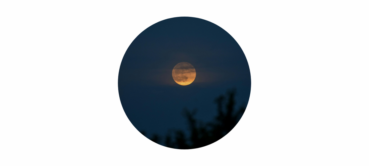 Hunter’s Moon Meaning 2026: October Full Moon Symbolism, Energy & Spiritual Themes