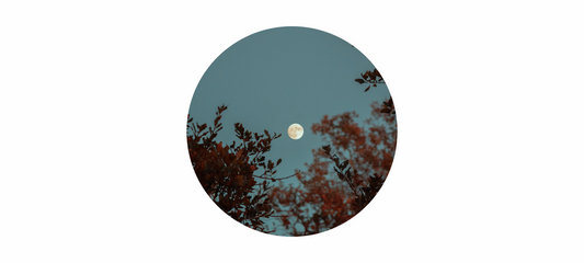 July's Full Buck Moon guidance: Strength, Surrender, and Synchronicity