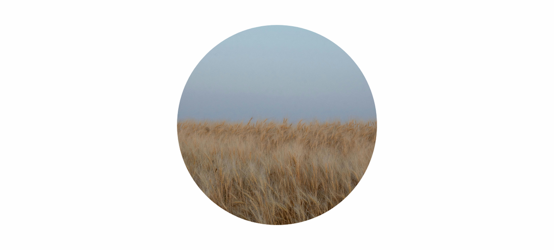 Lughnasadh Meaning: The First Harvest & Living What You’ve Grown