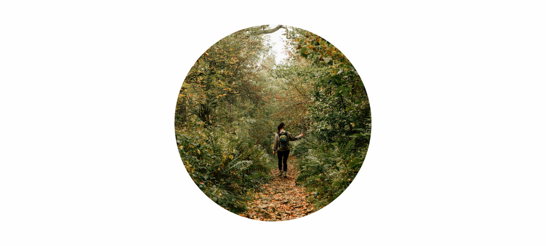 Nature Doesn’t Hurry, Yet Everything Is Accomplished