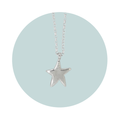 Silver Stargazer Pendant Necklace