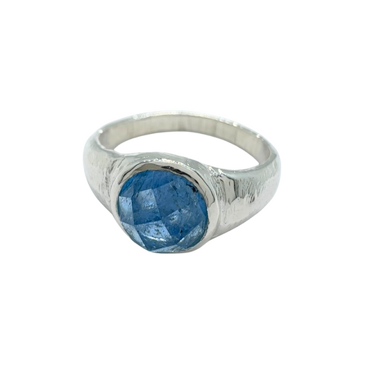 Silver Aquamarine Explorer Signet Ring