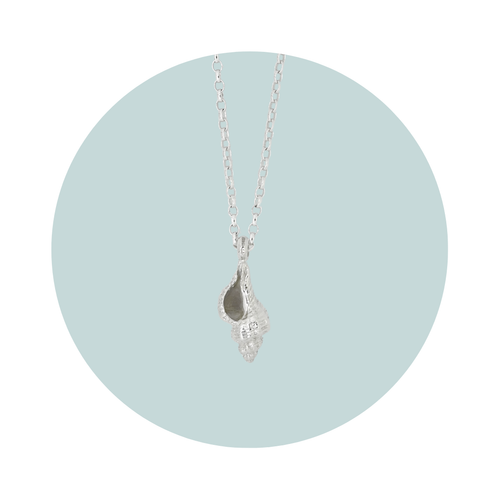 Silver Conch Shell Necklace