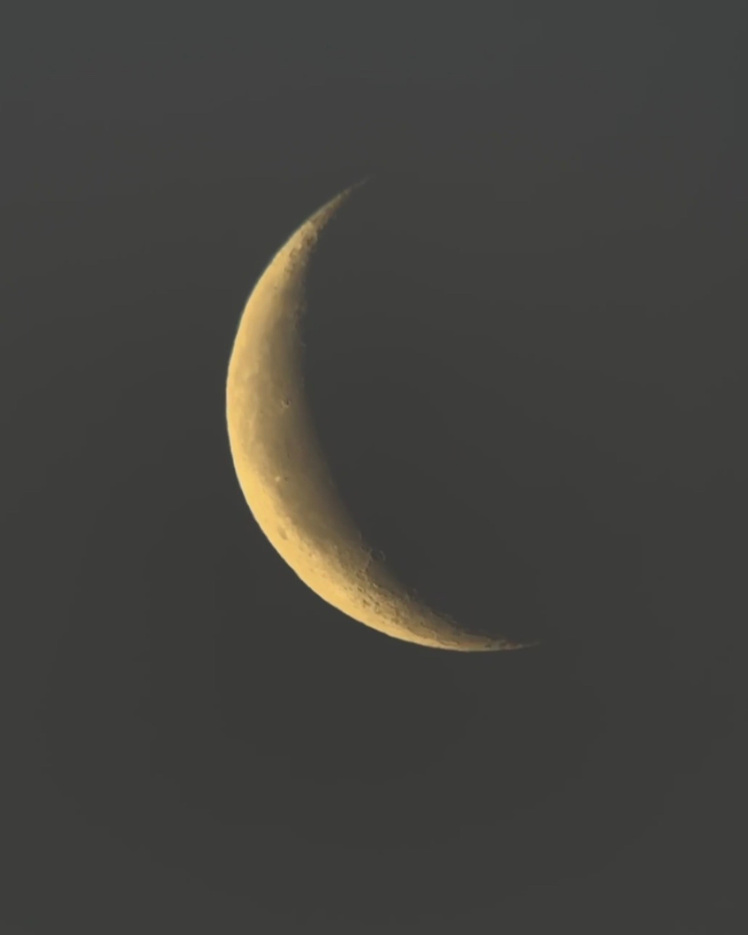 Gold Crescent Moon Necklace