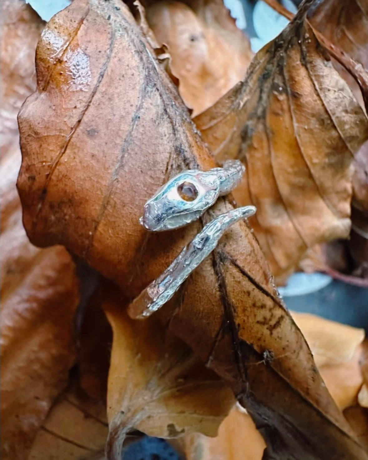 Silver Snake Ring | Transformation
