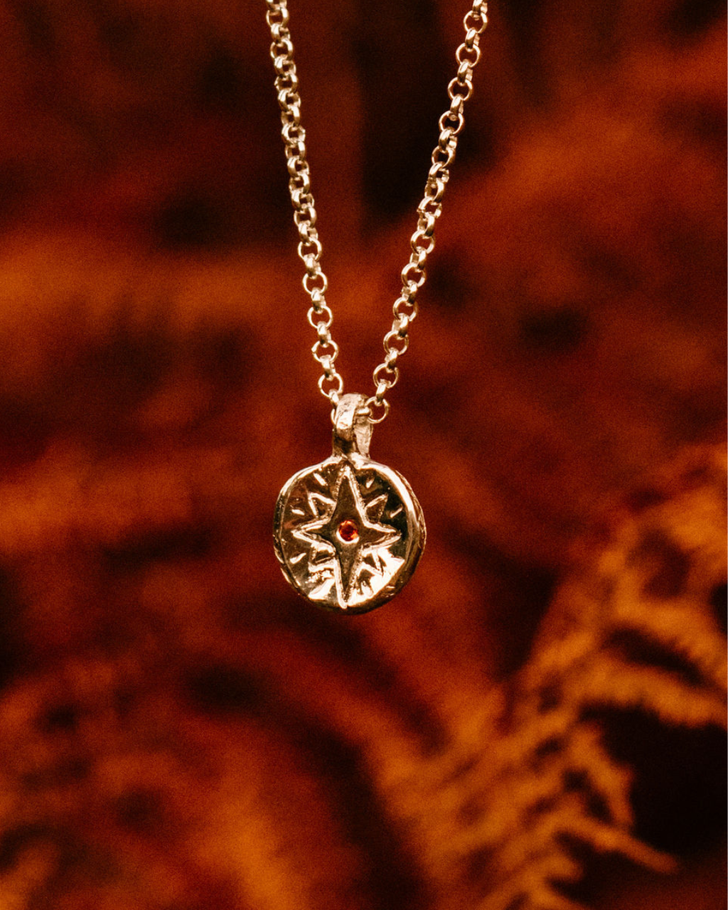 Close-up of a sterling silver North Star necklace set with a citrine stone against autumnal orange ferns.